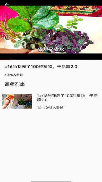 拍照识别植物弛意版app截图4