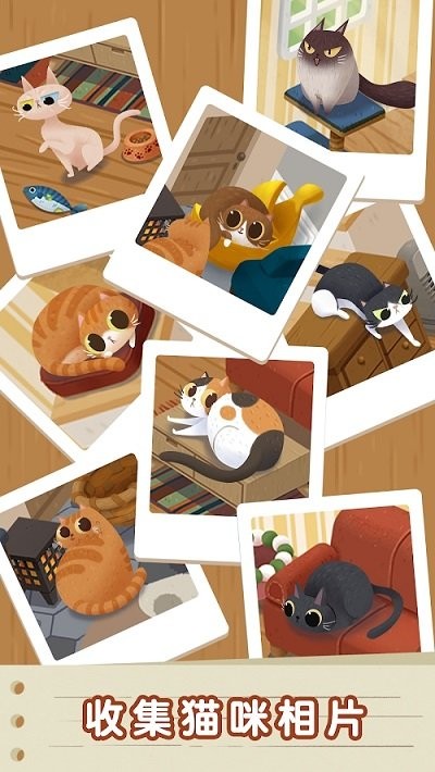 猫咪慵懒的日常游戏(cozy cats)截图3