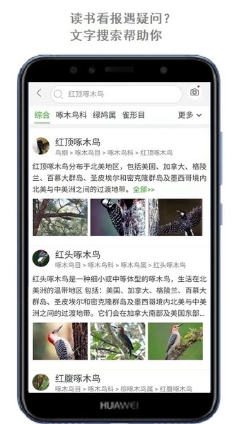拍照识万物软件(改名万物识别)截图2