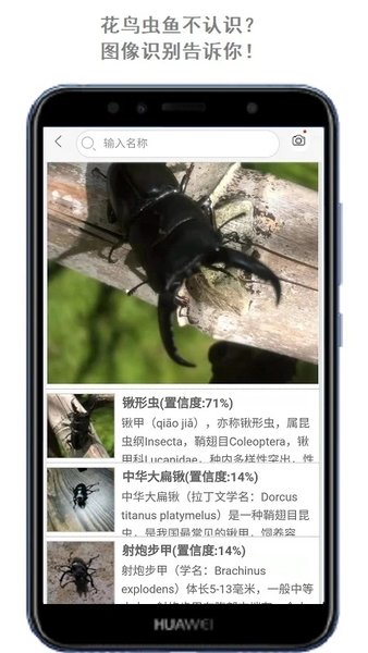 拍照识万物软件(改名万物识别)截图3