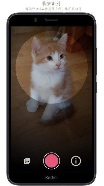 万物头条软件最新版截图1