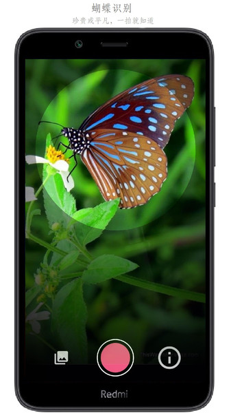 万物头条软件最新版截图3