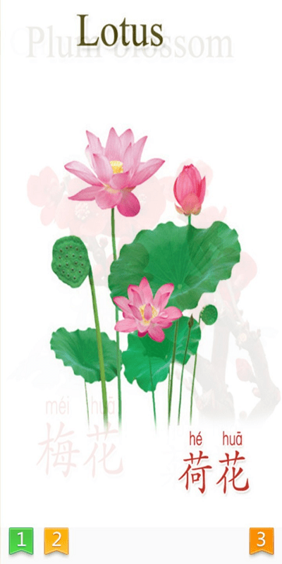 天天植物软件截图2