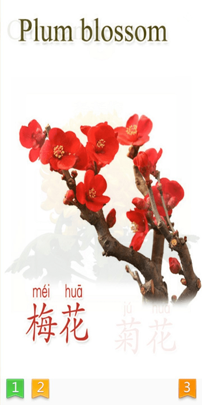 天天植物软件截图3