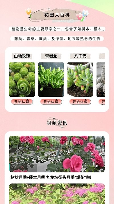 万物识图大师app截图2
