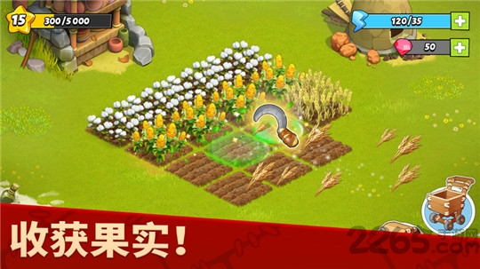 家庭岛游戏官方版截图2