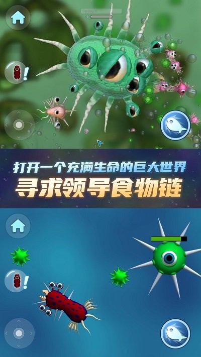 物种进化器游戏截图4