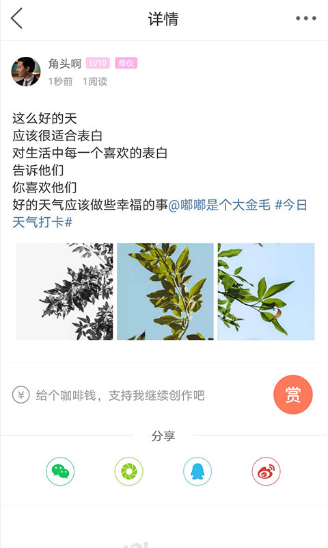 自贡在线平台截图1