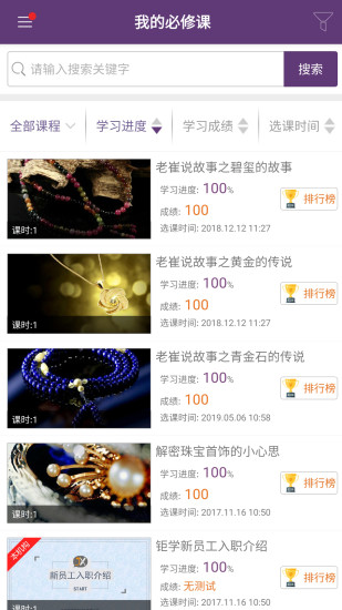 珠宝v课视频完整版(改名NGTC珠宝V课)截图4