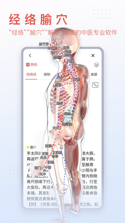3dbody解剖学专业版截图1