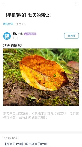 梯城网市app截图1