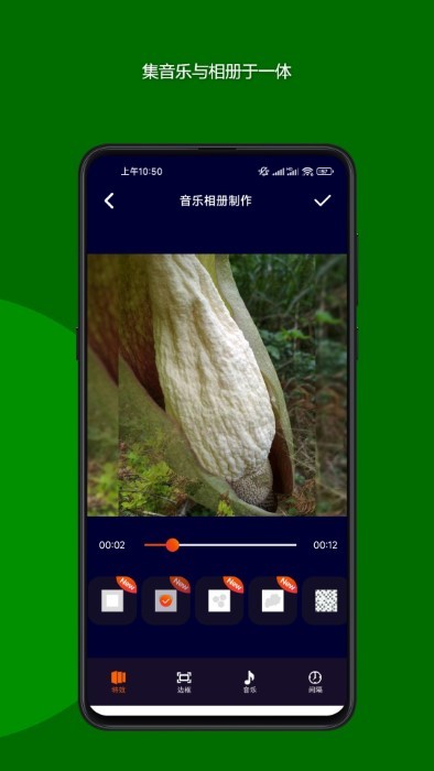 魔法音乐相册app最新版截图4