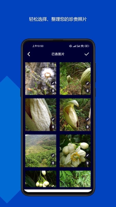 魔法音乐相册app最新版截图5