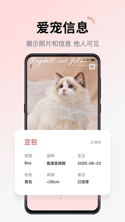 多仔宠物最新版截图3