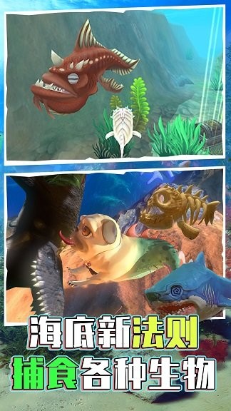 海底世界模拟游戏截图4