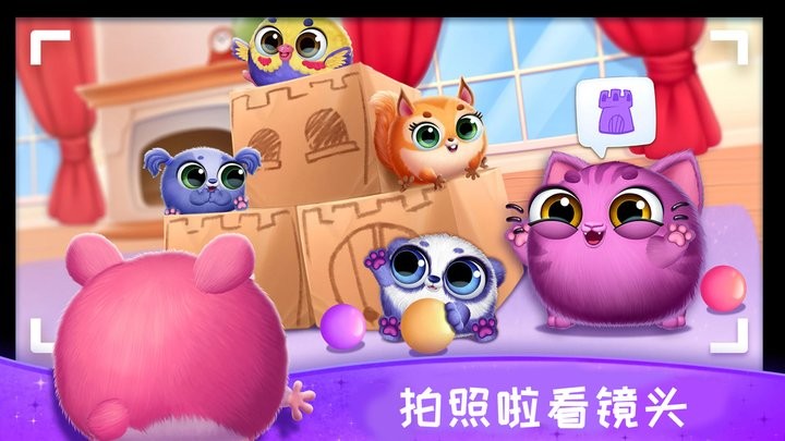 照顾宠物成长官方版截图4