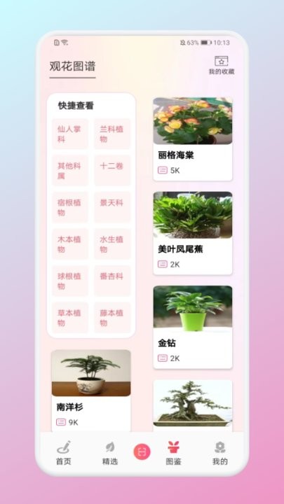 养花大掌柜app截图2