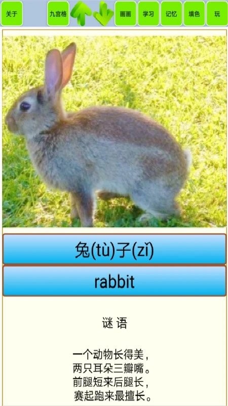 宝宝识动物汽车画画app截图2