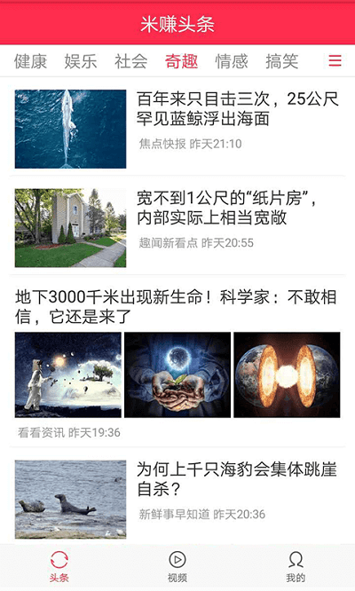 米赚头条最新版截图2