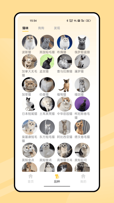弛意有宠app截图2