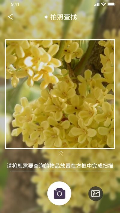 我的开心花园app截图1