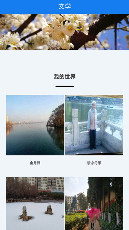 宣威之窗官方版截图4