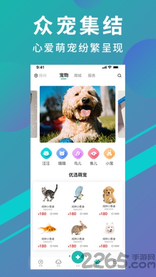 宠都宠物平台最新版截图1