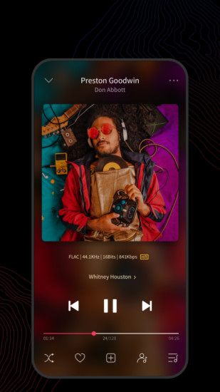飞傲音乐app截图3