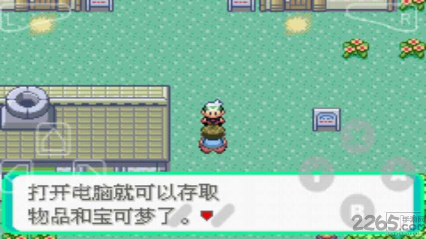 口袋妖怪绿宝石802 3.0版截图2