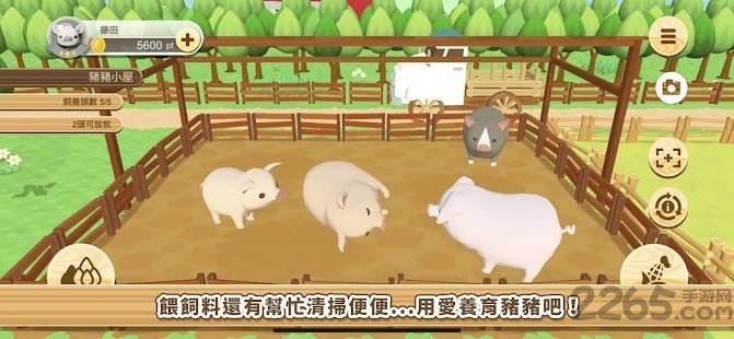 养猪场3d安卓中文版截图2