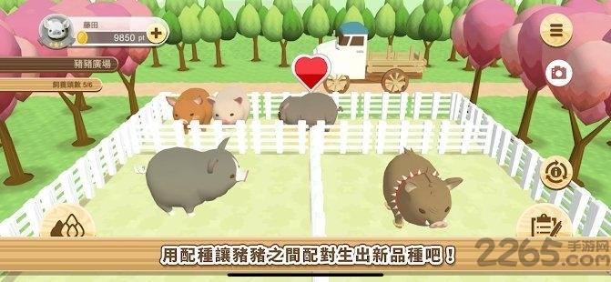 养猪场3d安卓中文版截图4