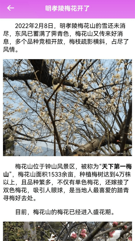 一日游手机版截图2
