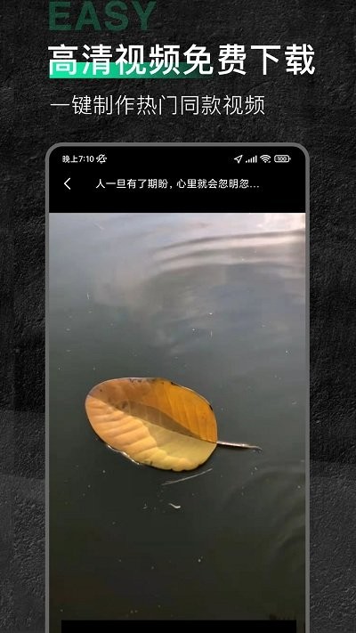 今日素材最新版截图3