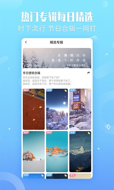 小鸟壁纸官方版截图1