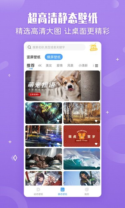 小鸟壁纸官方版截图3