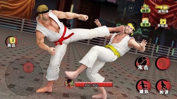 散打武术模拟最新版截图3