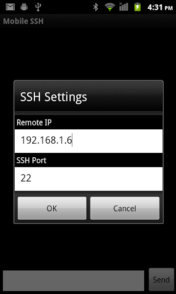 mobile ssh工具手机版app截图3