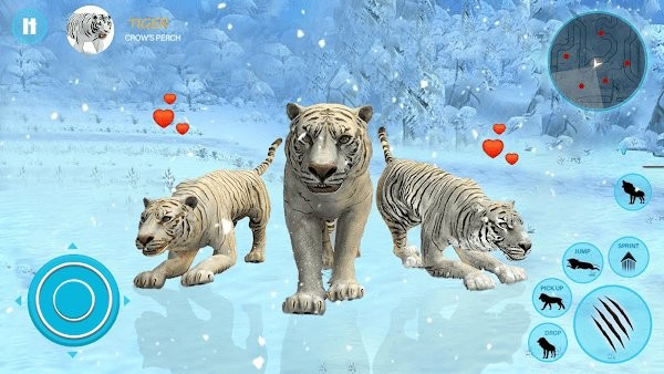 野生白虎家庭模拟游戏(wild tiger simulator family sim)截图2