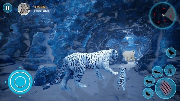 野生白虎家庭模拟游戏(wild tiger simulator family sim)截图3
