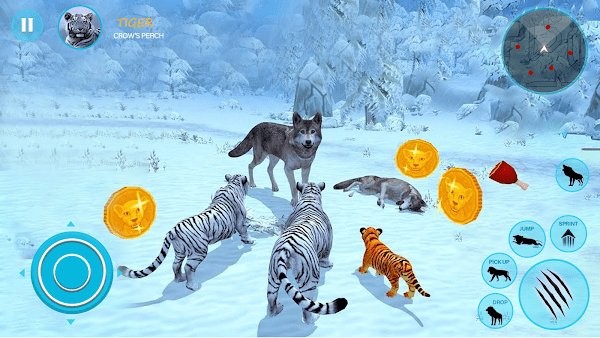 野生白虎家庭模拟游戏(wild tiger simulator family sim)截图4