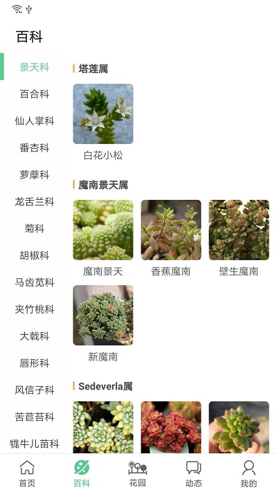 肉肉家app截图1