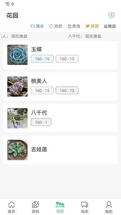 肉肉家app截图2