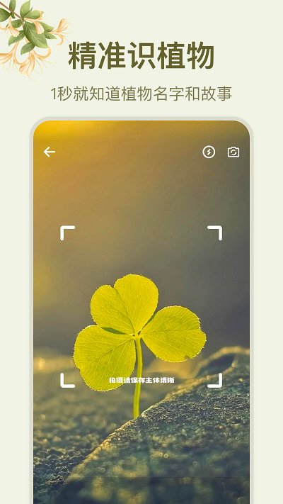 拍照识花大师app截图1