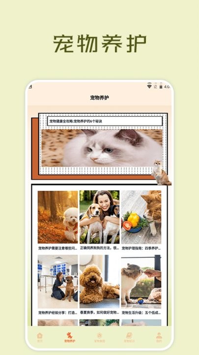 宠物小组件盒子手机版截图1