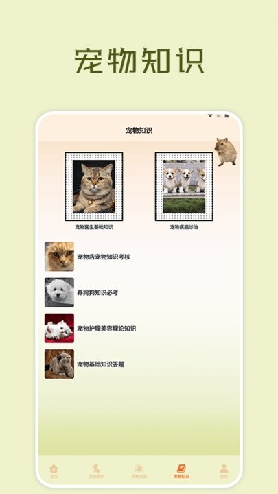 宠物小组件盒子手机版截图2