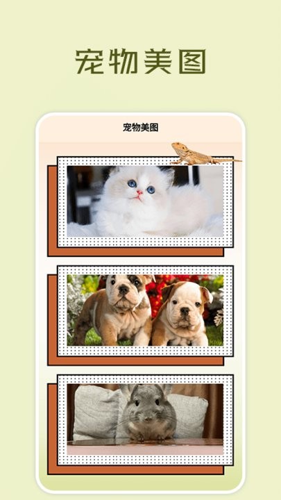宠物小组件盒子手机版截图3