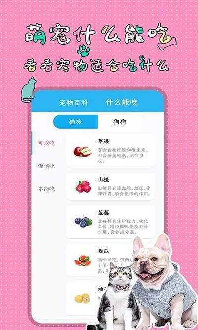 萌宠交流翻译器app(改名宠物翻译交流器)截图4