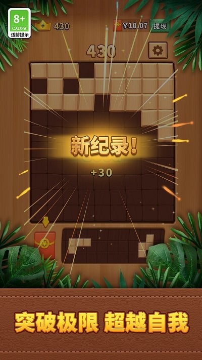 经典罗斯方块游戏截图4