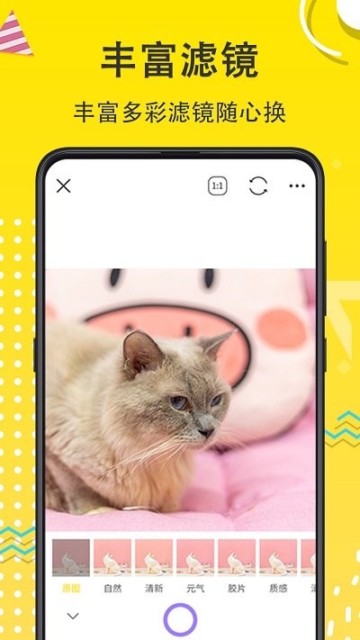 宠物cam官方版截图4