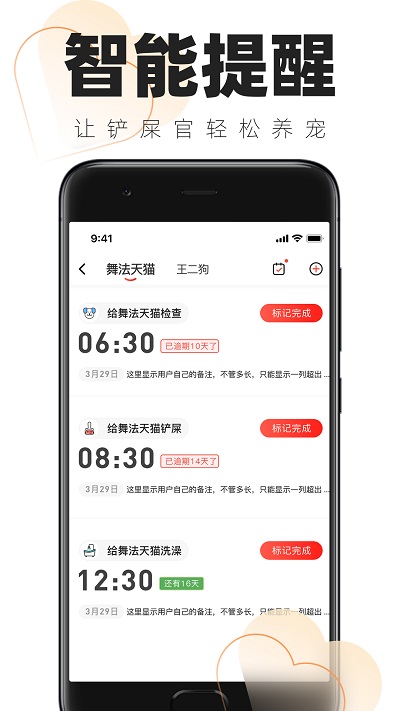 铲屎官的日常官方版截图3